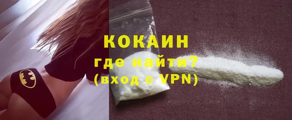 индика Козловка