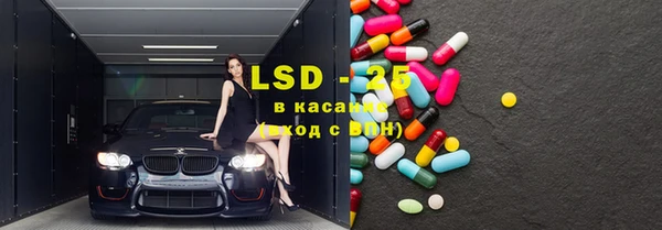 индика Корсаков