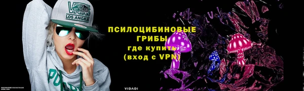 индика Корсаков