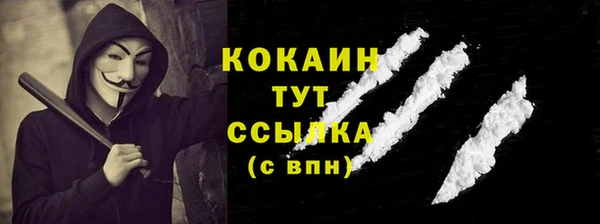 индика Корсаков