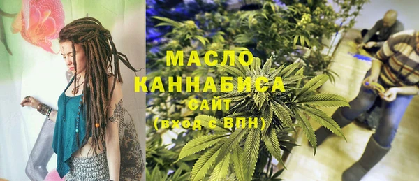 индика Корсаков