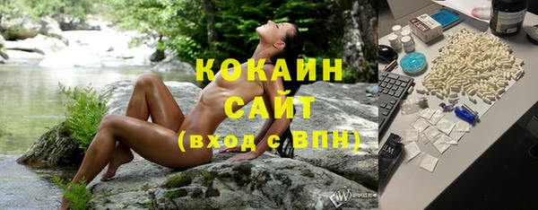 индика Корсаков