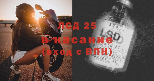 индика Козловка