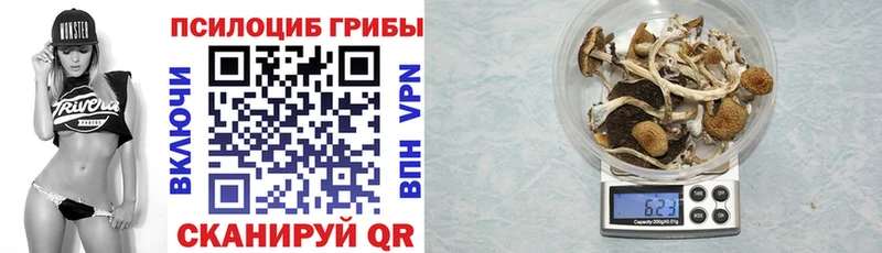 Галлюциногенные грибы Psilocybe что такое наркотик Красный Сулин